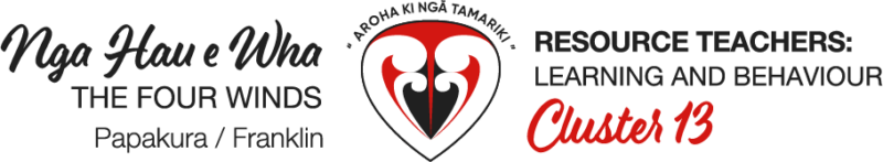 Papakura / Franklin RTLB Cluster 13