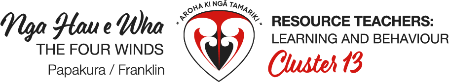 Papakura / Franklin RTLB Cluster 13